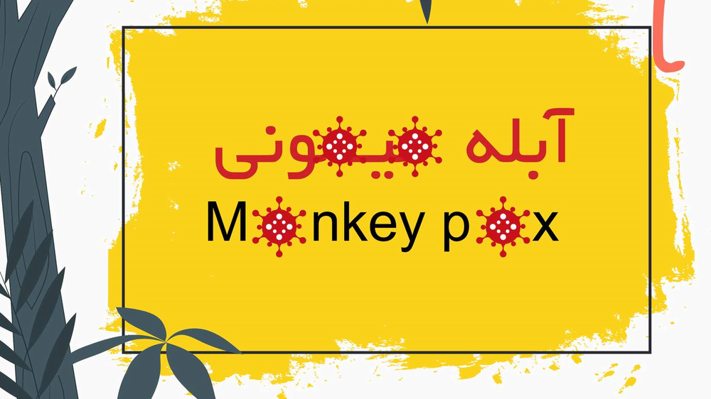چگونه از ابتلا به آبله میمونی پیشگیری کنیم؟/ اینفوگرافیک